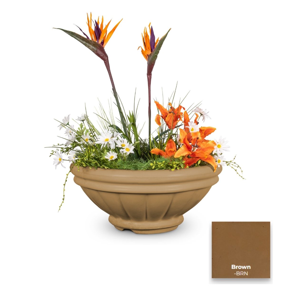 Roma Concrete Planter Bowl by The Outdoor Plus