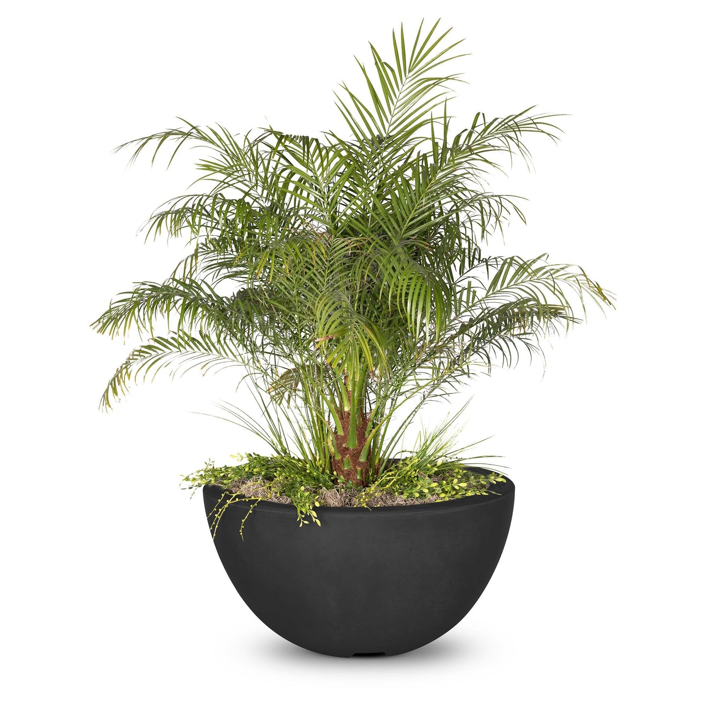 The Outdoor Plus Luna Concrete Planter Bowl